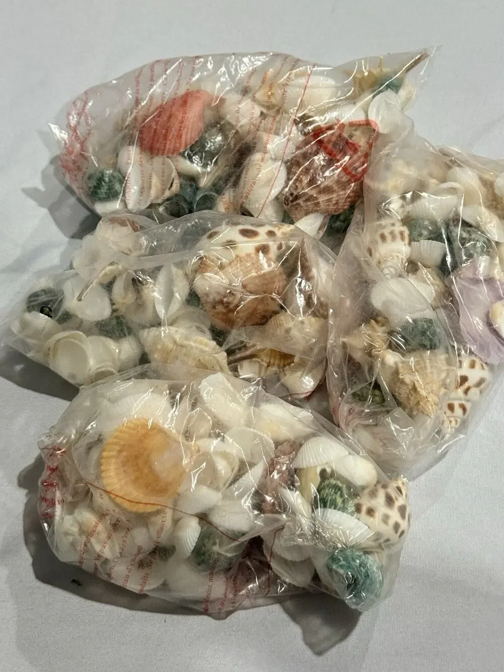 Lot of 4 Bags Assorted Natural Seashells with Cowries, Scallops & Decorative